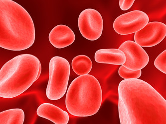 Similar image 8173430