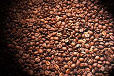 Similar image 8173432