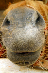 Similar image 8173482