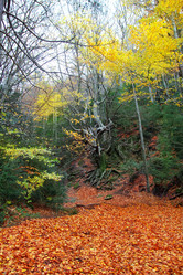 Similar image 8173499