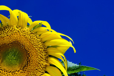 Similar image 8173543