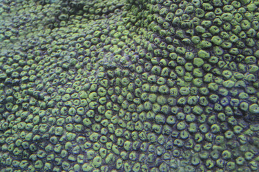 Similar image 8173557