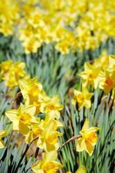 Similar image 8173575