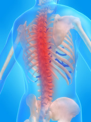 Similar image 8173602