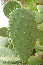 Similar image 8173610