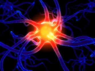 Similar image 8173622