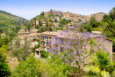 Similar image 8173628