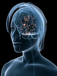 Similar image 8173653