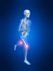 Similar image 8173654