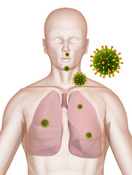 Similar image 8173721