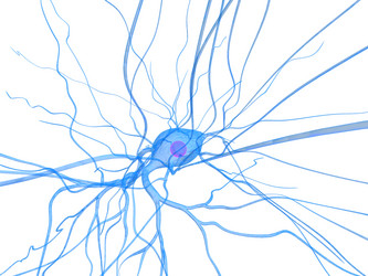 Similar image 8173791