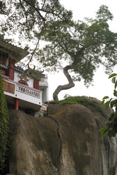 Similar image 8173795