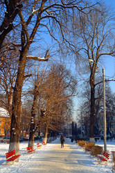 Similar image 8173800