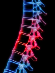 Similar image 8173811