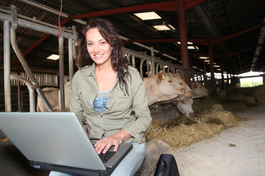 Similar image 8173829