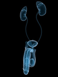 Similar image 8173861