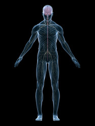 Similar image 8173864