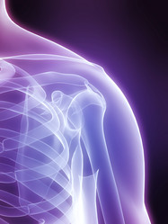 Similar image 8173866