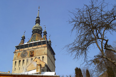 Similar image 8173898