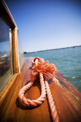 Similar image 8173899