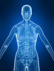 Similar image 8173906