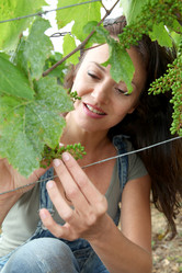 Similar image 8173907