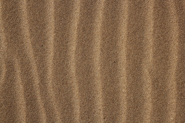 Similar image 8173918