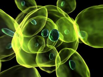 Similar image 8173930