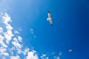 Similar image 8173959