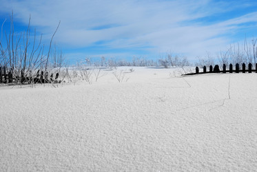 Similar image 8174023