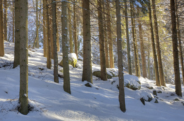 Similar image 8174039