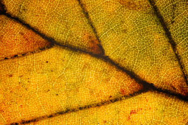 Similar image 8174050