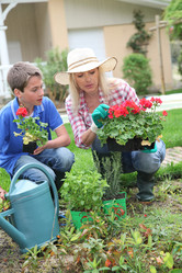 Similar image 8174059