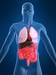 Similar image 8174072