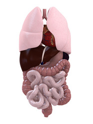 Similar image 8174075