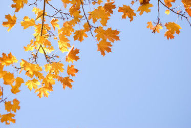 Similar image 8174077