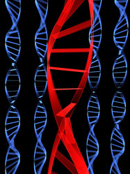 Similar image 8174096