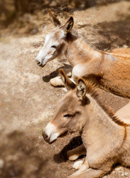 Similar image 8174144