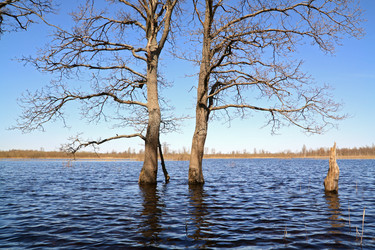 Similar image 8174223