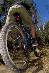 Similar image 8174226