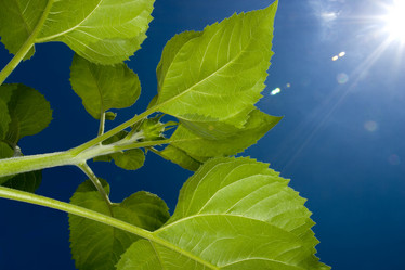 Similar image 8174244