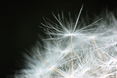 Similar image 8174287