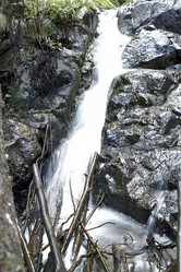 Similar image 8174288