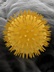 Similar image 8174289