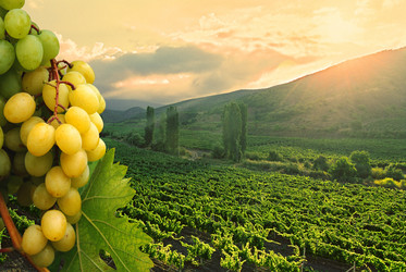 Similar image 8174294