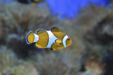 Similar image 8174296