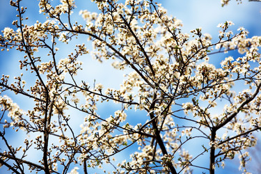 Similar image 8174301