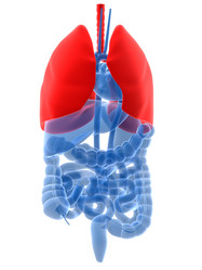 Similar image 8174309