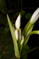 Similar image 8174318