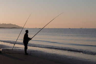 Similar image 8174354